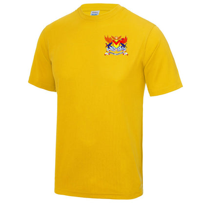 Old School Newport County Shirt