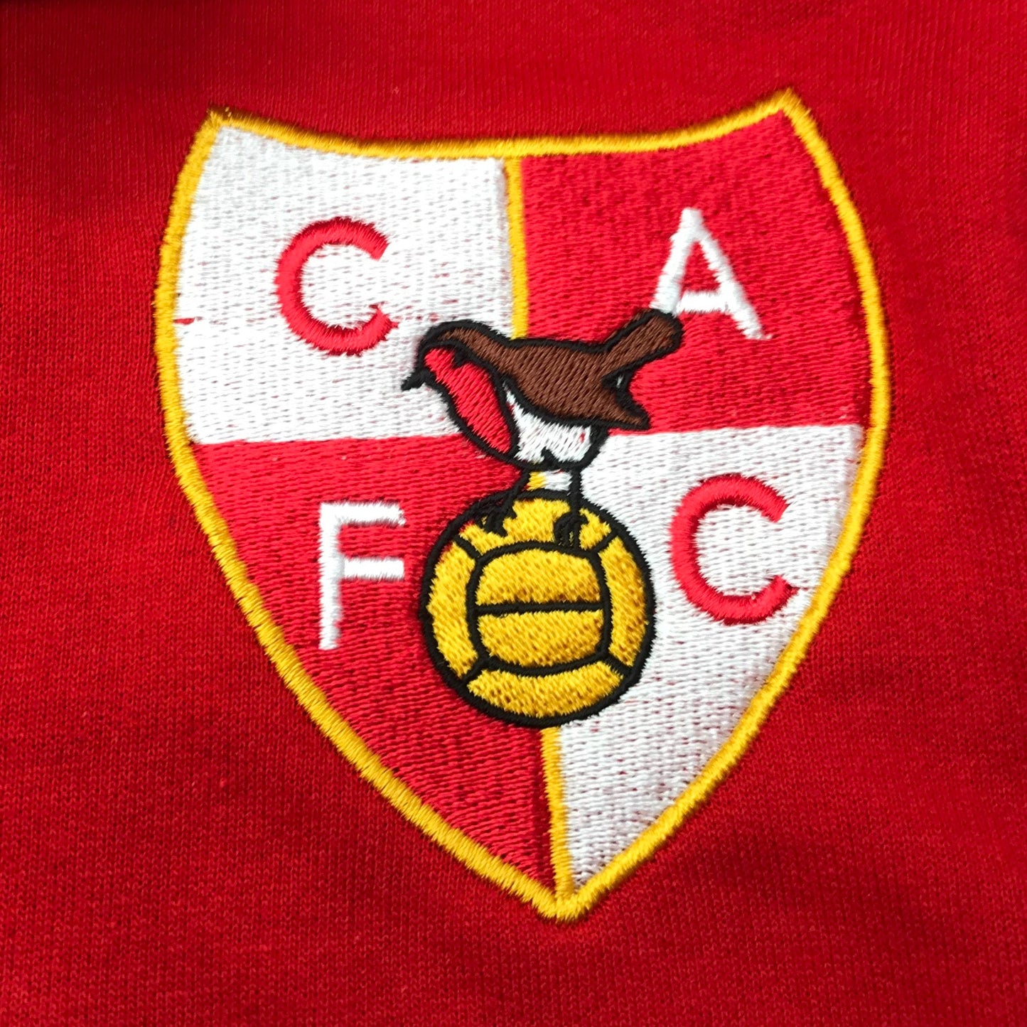 Charlton Football Hoodie