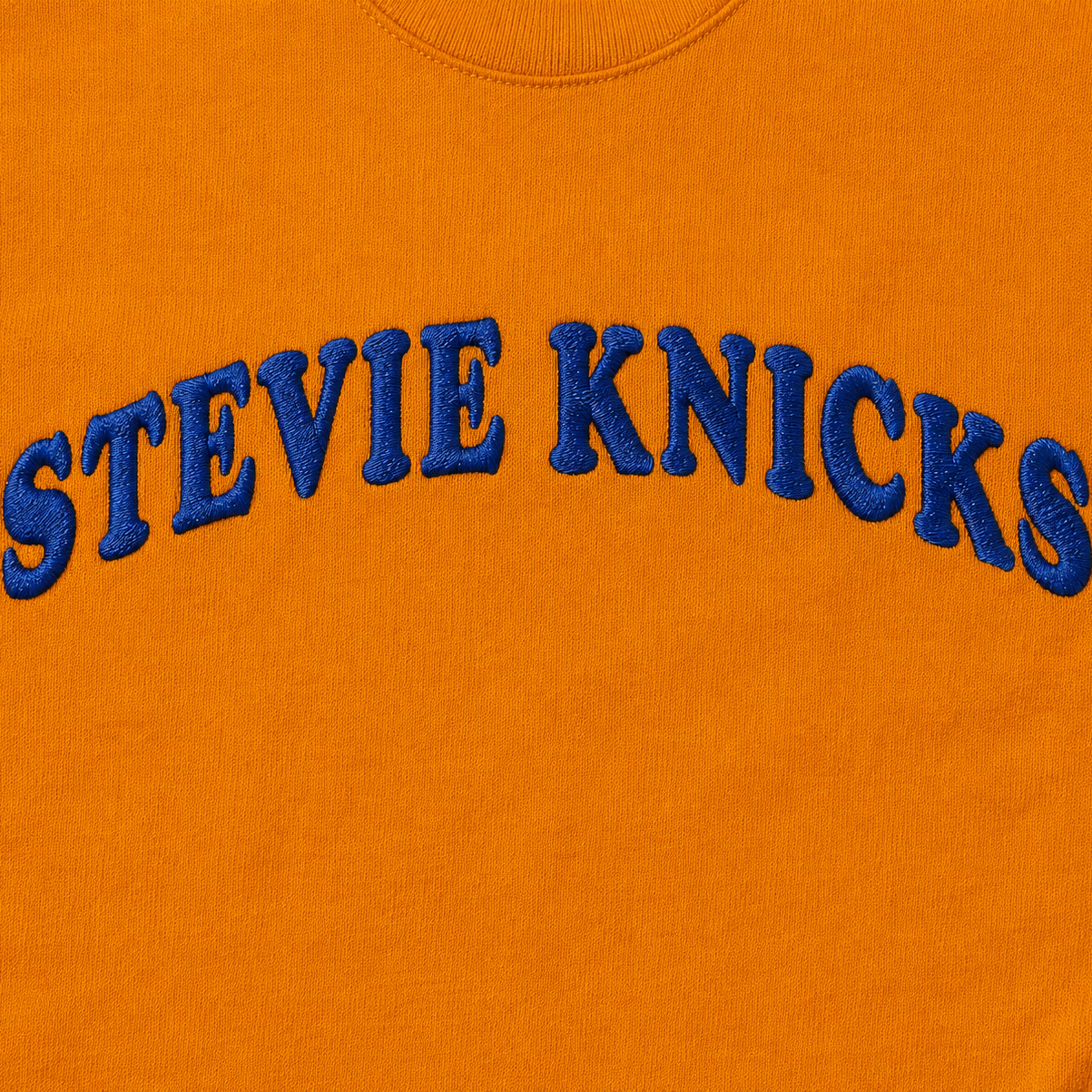 Stevie Knicks T Shirt