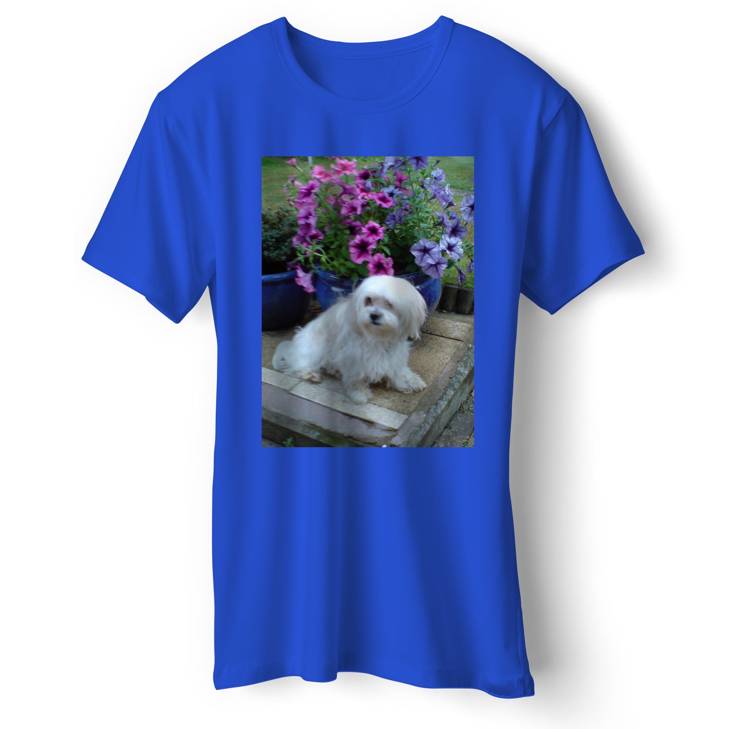 Personalised T-Shirts with Photo